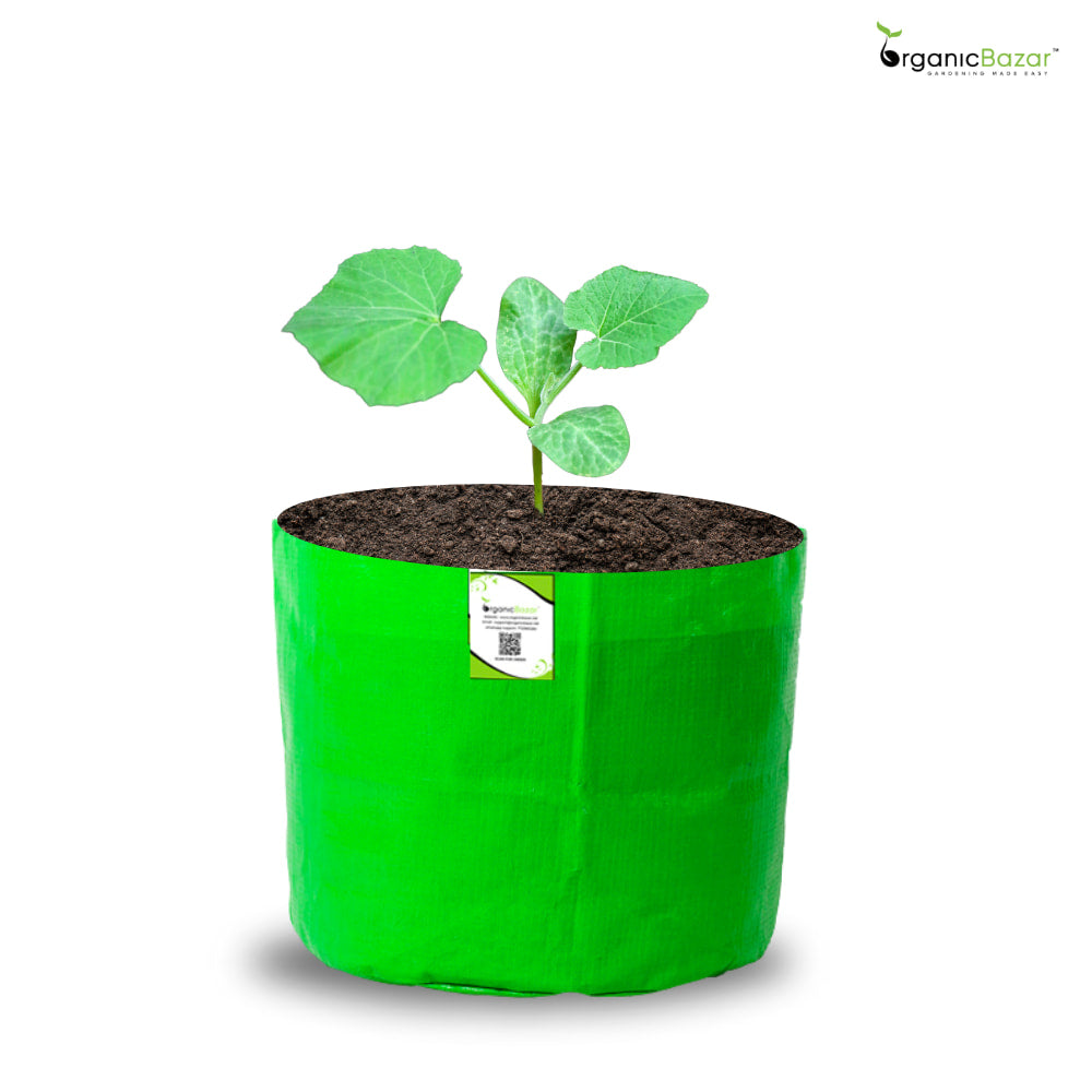 OrganicBazar 5x5 Small Size Grow Bag for Nursery Plants, Premium HDPE 260 GSM, Green Plant Bags