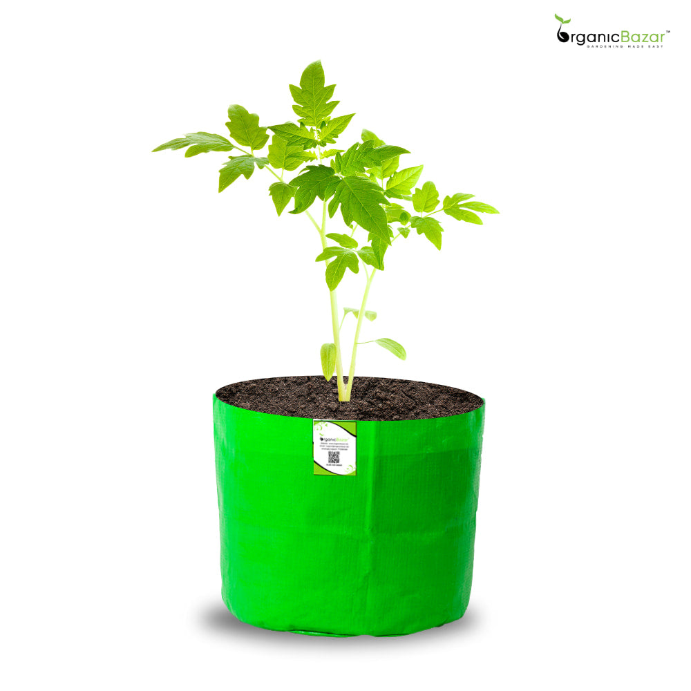 OrganicBazar 5x5 Small Size Grow Bag for Nursery Plants, Premium HDPE 260 GSM, Green Plant Bags