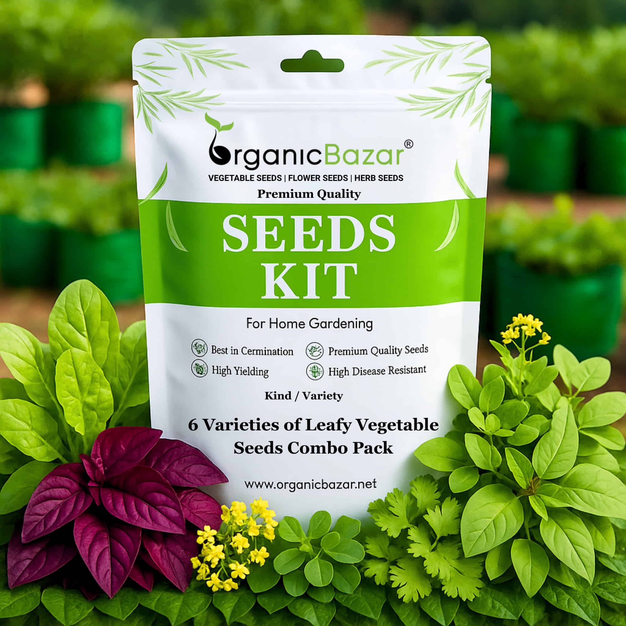 6 Varieties of Leafy Vegetable Hybrid Seeds Combo Pack