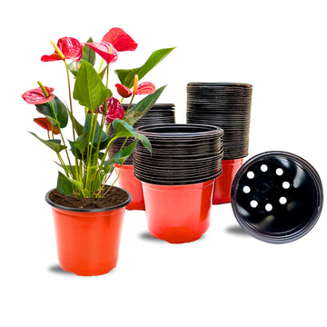Thermoform Pot-6 Terracotta Color (Set of 20) (15cm)