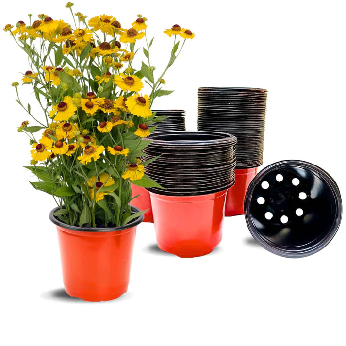 Thermoform Pot-7 Terracotta Color (Set of 20) (18 cm)