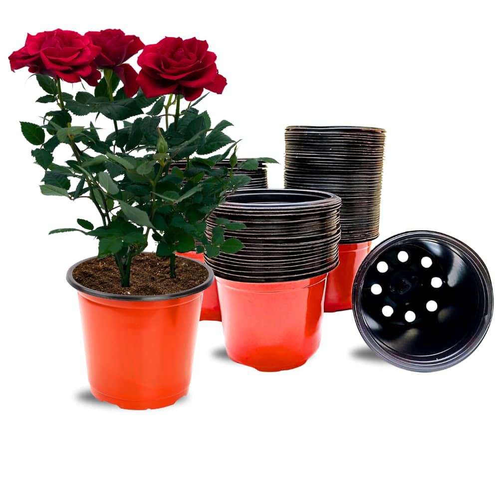 Thermoform Pot-8 Terracotta Color (Set of 10) (20 cm)