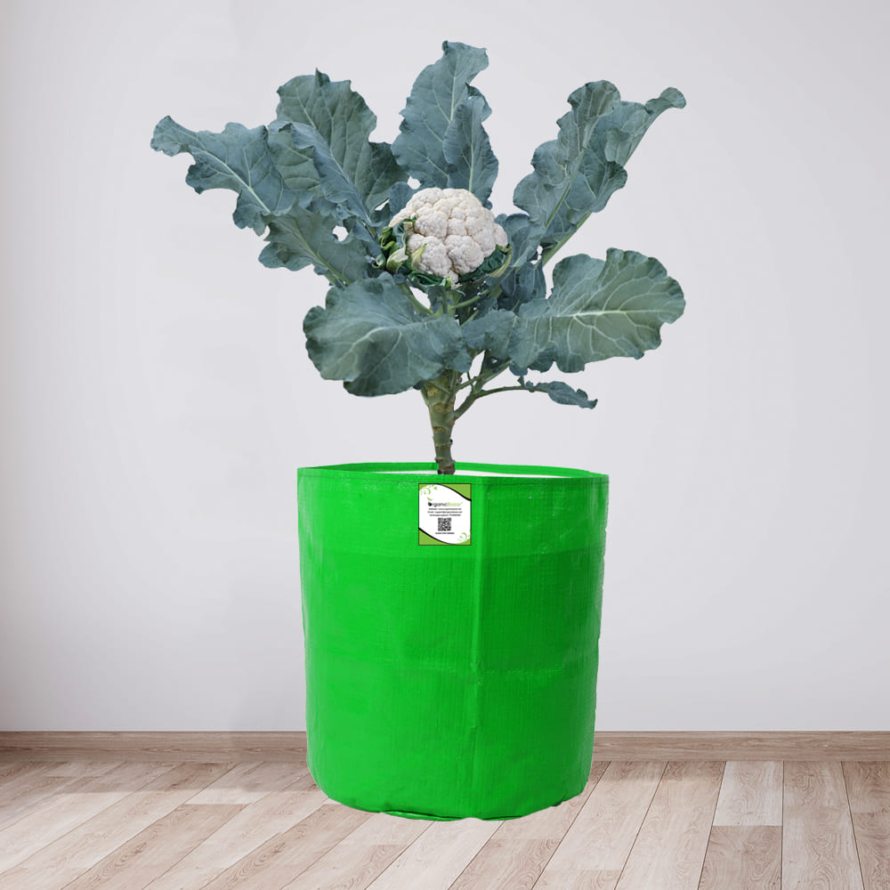 HDPE 9X12 Grow Bag For Home And Terrace Gardening Extra Thick and Premium Quality Grow Bags
