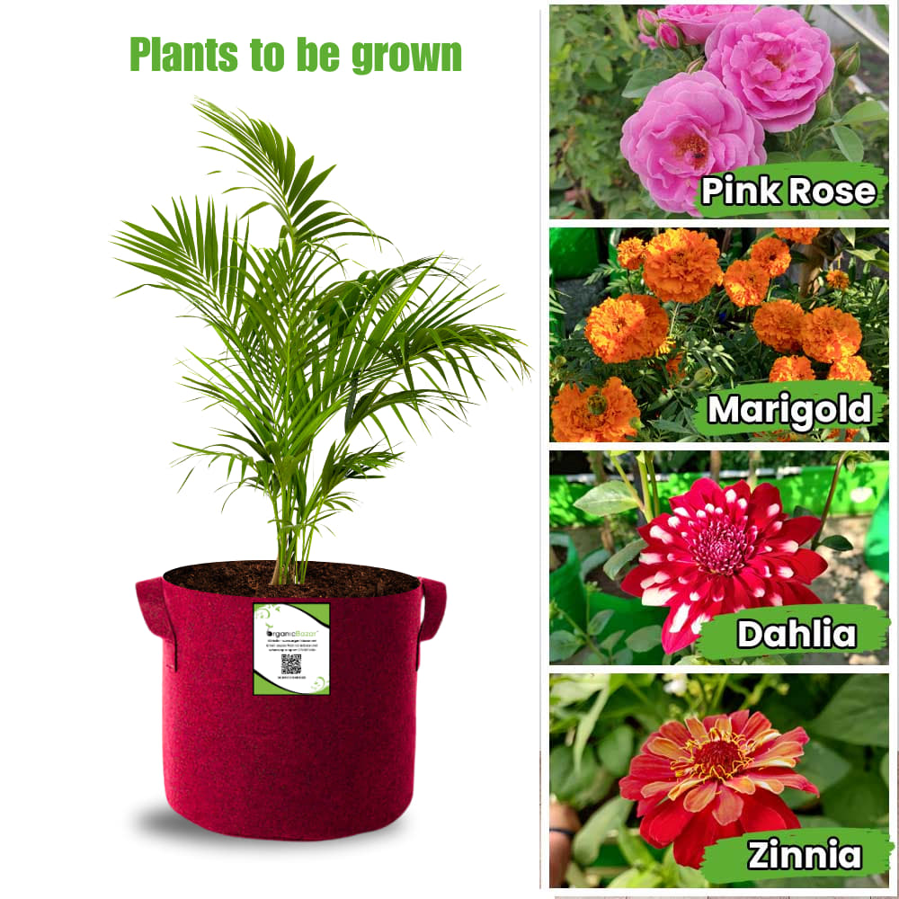 OrganicBazar 9x9 Geo Grow Bags Suitable for Vegetable and Flower Plants, Premium Quality 450 GSM Maroon Planters for Terrace Garden
