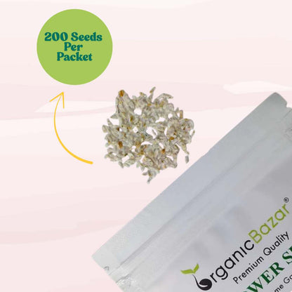 Acroclinium Double Mix Seeds (200 Seeds) Easy To grow / Perfect for pots, balconies, or Terrace gardens