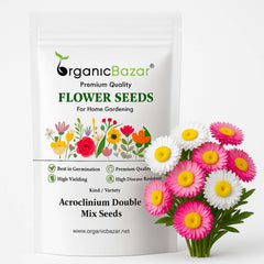 Acroclinium Double Mix Seeds (200 Seeds) Easy To grow / Perfect for pots, balconies, or Terrace gardens