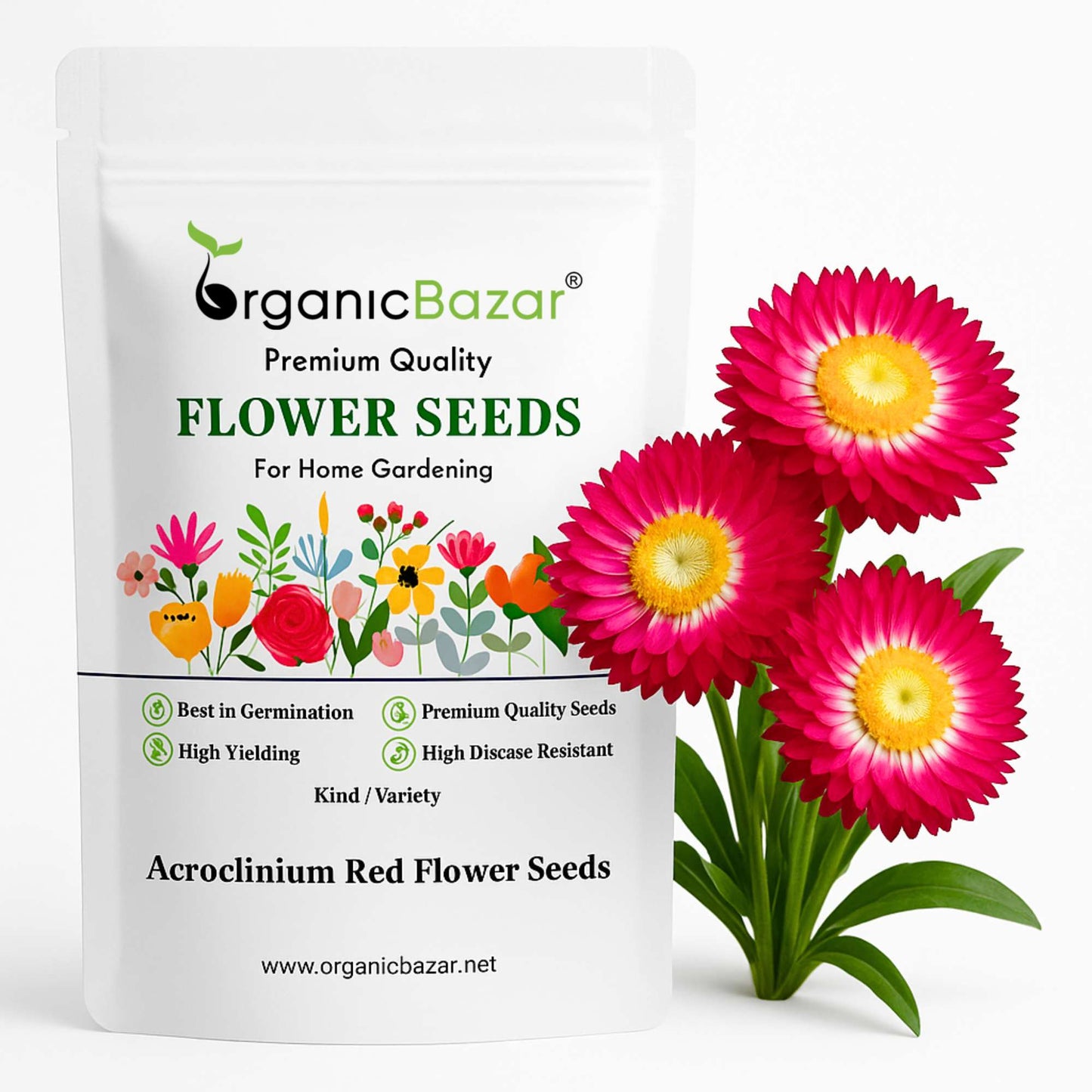 Acroclinium Red Flower Seeds (200 Seeds) Easy To grow / Perfect for pots, balconies, or Terrace gardens