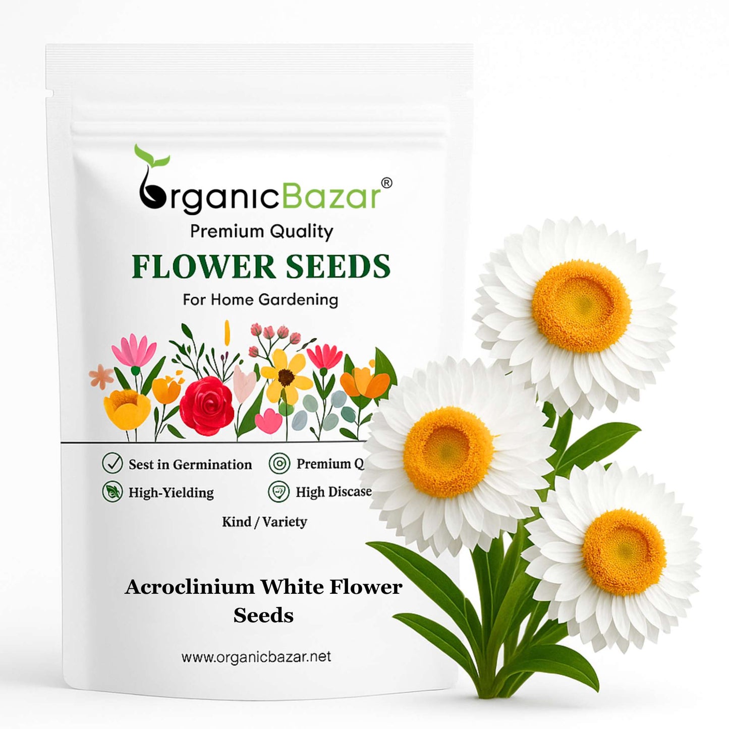 Acroclinium White Flower Seeds (200 Seeds)  Easy To grow / Perfect for pots, balconies, or Terrace gardens