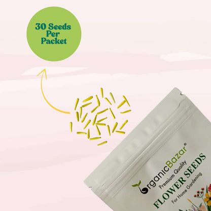 African Marigold F1 (Genda) Dwarf Gold Seeds - 30 Seeds (गेंदा के बीज) High Germination/ Easy To grow/ Perfect for pots, balconies, or Terrace gardens