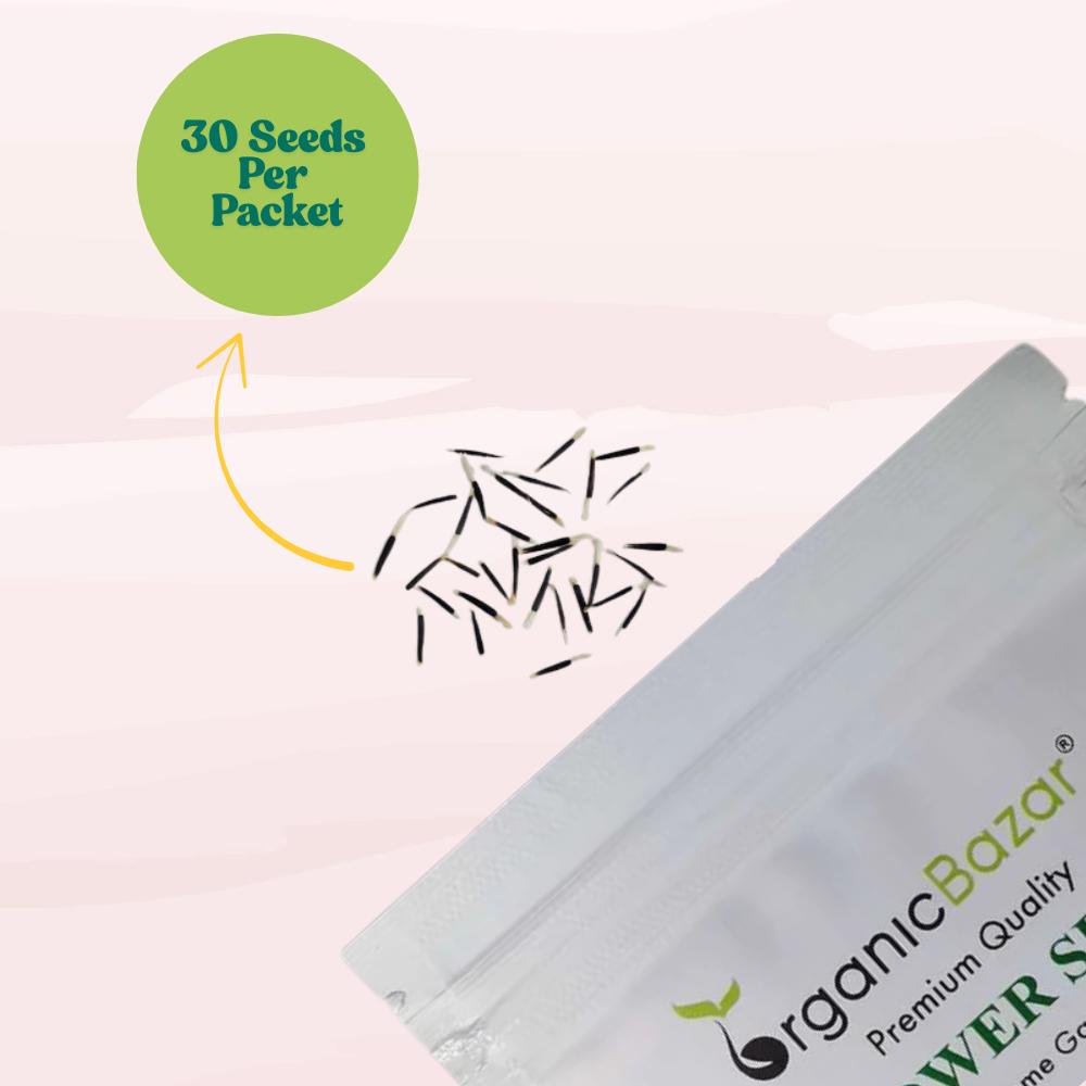 African Marigold (Genda) Dwarf Orange Seeds - 30 Seeds (गेंदा के बीज) High Germination/ Easy To grow/ Perfect for pots, balconies, or Terrace gardens