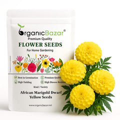 African Marigold Dwarf Yellow Seeds - 30 Seeds (गेंदा के बीज) High Germination/ Easy To grow/ Perfect for pots, balconies, or Terrace gardens