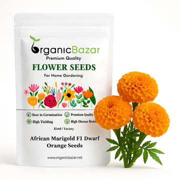 African Marigold (Genda) F1 Dwarf Orange Seeds - 30 Seeds (गेंदा के बीज) High Germination/ Easy To grow/ Perfect for pots, balconies, or Terrace gardens