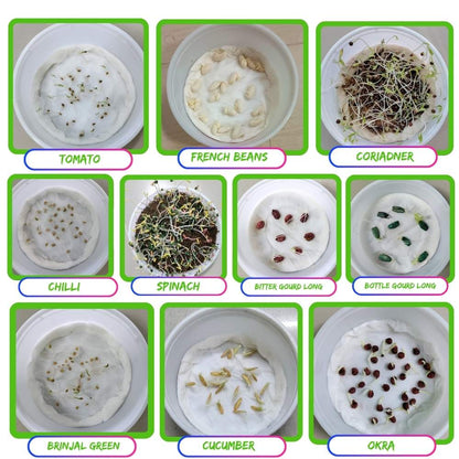 All Time Vegetable Seeds Kit for Home Gardening