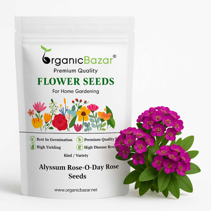 Alyssum Rose-O-Day Rose Seeds (200 Seeds) High Germination/Easy To grow/ Perfect for pots, balconies, or Terrace gardens