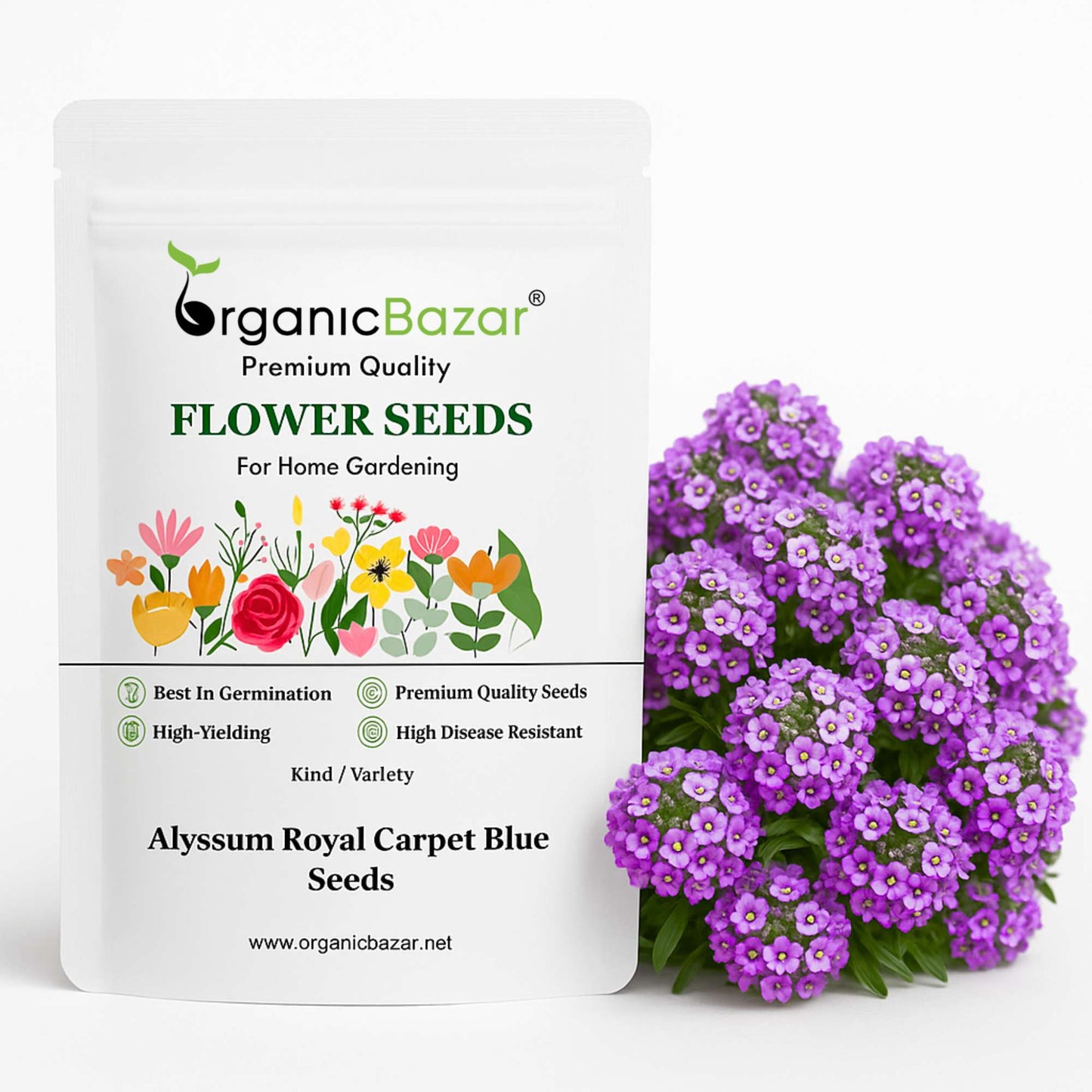 Alyssum Royal Carpet Blue Seeds (200 Seeds) High Germination/Easy To grow/ Perfect for pots, balconies, or Terrace gardens