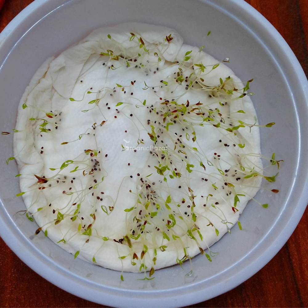 Amaranthus Mixed Seeds (200 Seeds)