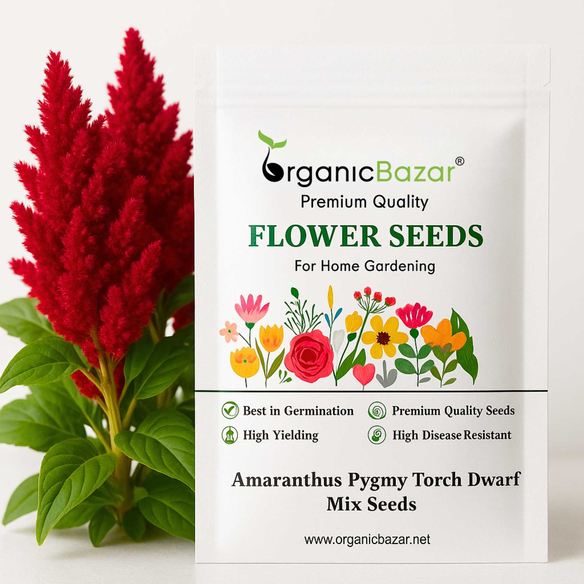 Amaranthus Pygmy Torch Dwarf Mix Seeds (200 Seeds)