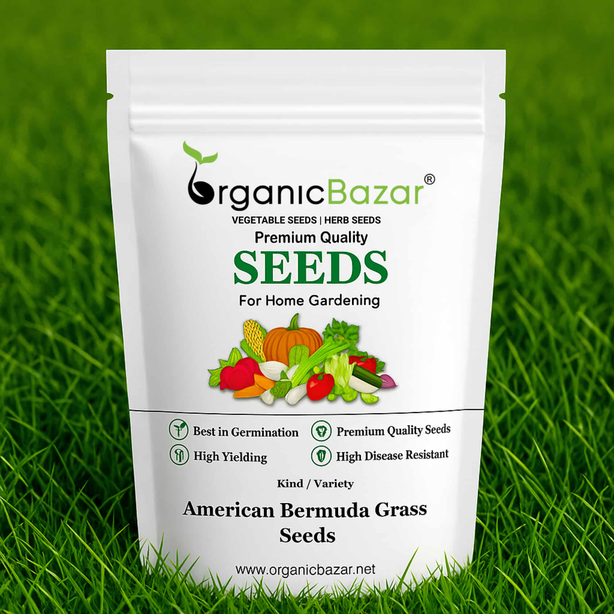 American Bermuda Grass Seeds For Lawn Garden (50g)