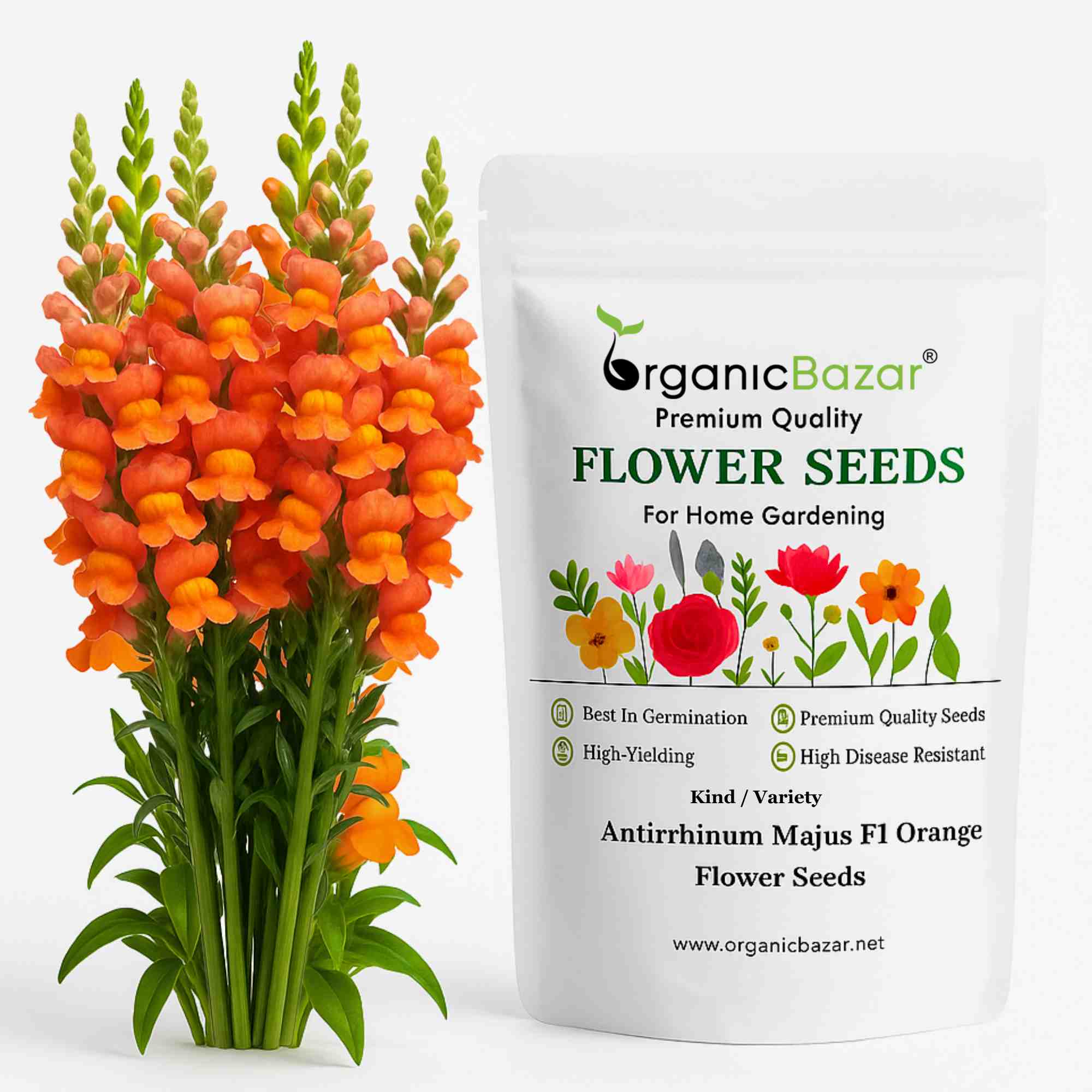 Antirrhinum (Snapdragon) Majus F1 Orange Flower Seeds (100 Seeds)
