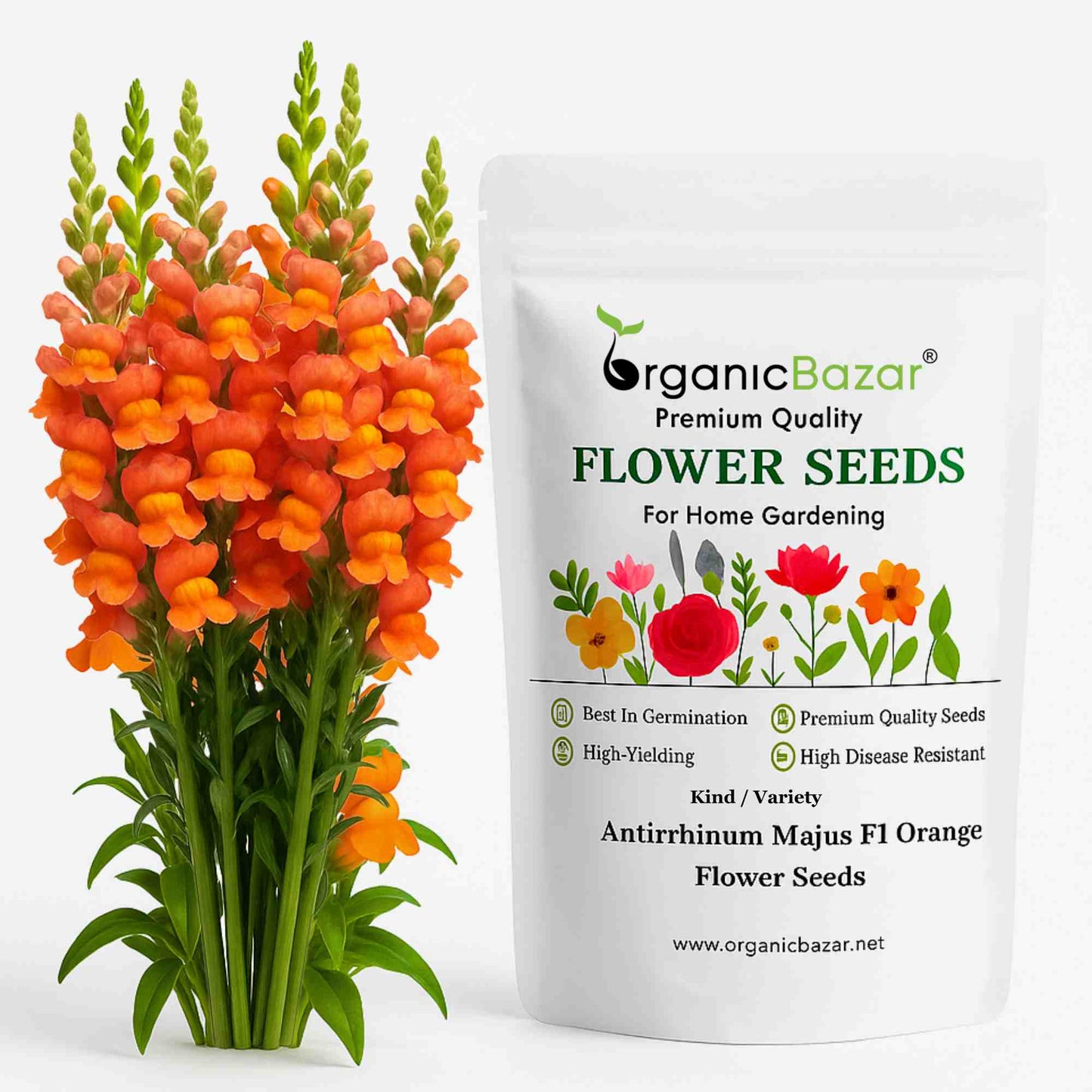 Antirrhinum (Snapdragon) Majus F1 Orange Flower Seeds (100 Seeds)