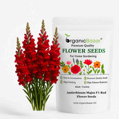 Antirrhinum (Snapdragon) Majus F1 Red Flower Seeds (50 Seeds) High Germination/ Easy To grow/ Perfect for pots, balconies, or Terrace gardens