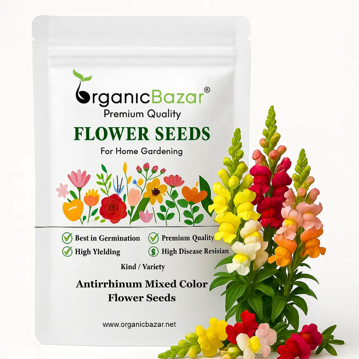 Antirrhinum Mixed Color Flower Seeds (400 Seeds)