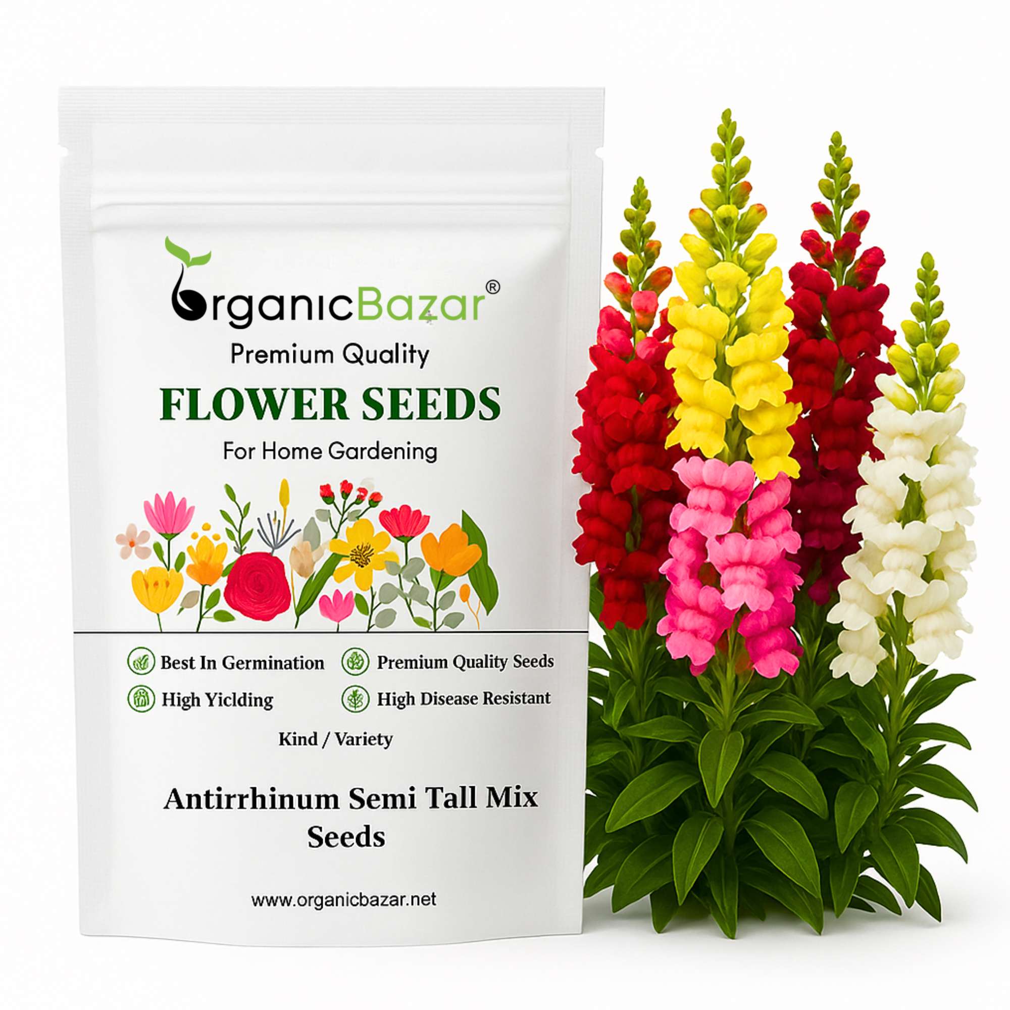 Antirrhinum Semi Tall Mix Seeds (400 Seeds) High Germination/Easy To grow/ Perfect for Terrace gardens