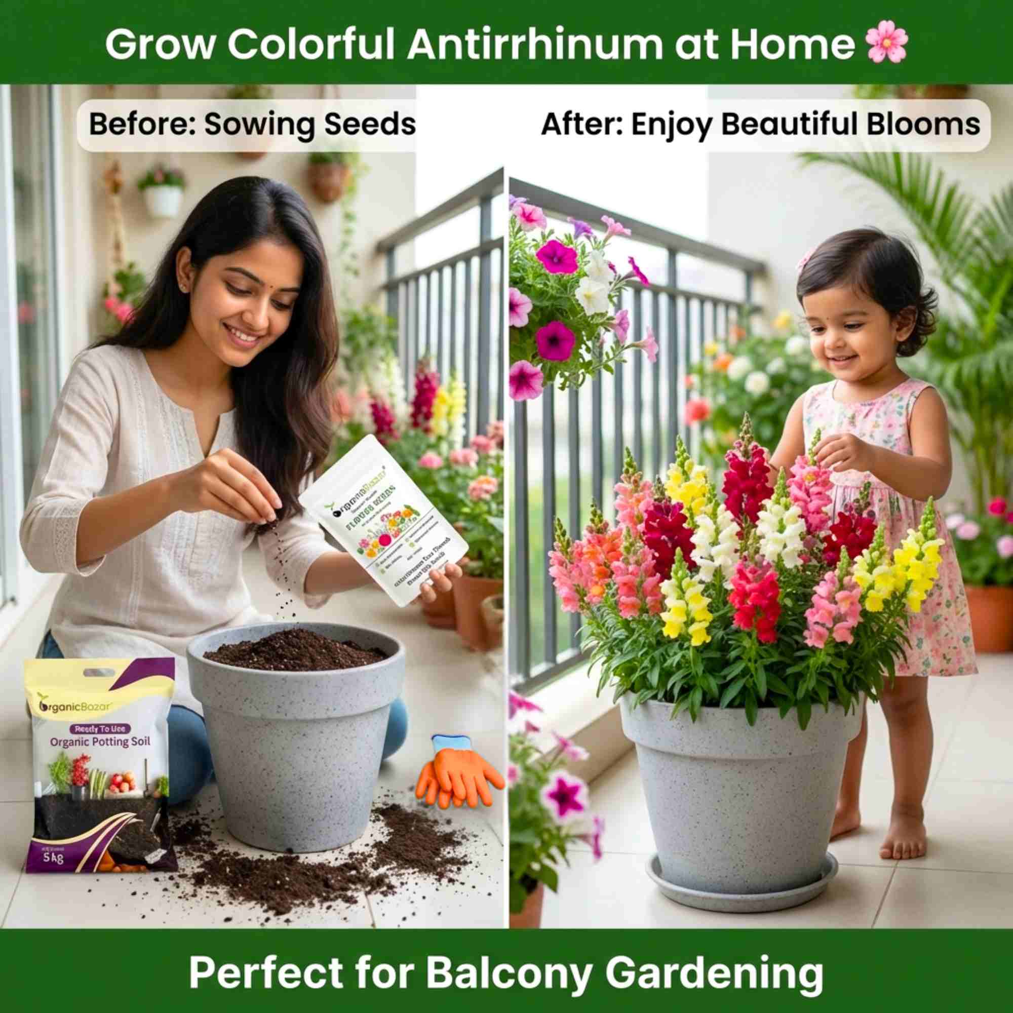 Antirrhinum Tom Thumb Dwarf Mix Seeds (400 Seeds)