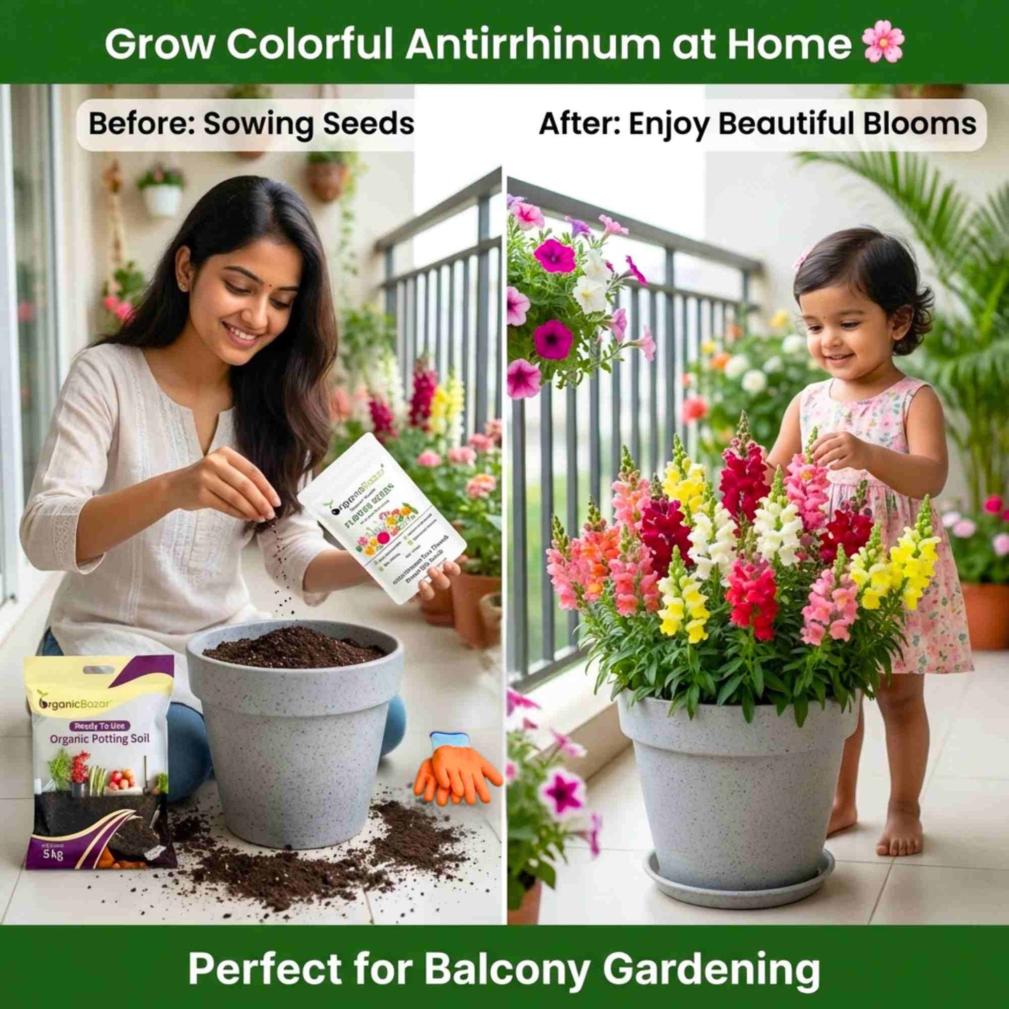 Antirrhinum Tom Thumb Dwarf Mix Seeds (400 Seeds)