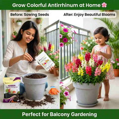 Antirrhinum Tom Thumb Dwarf Mix Seeds (400 Seeds)