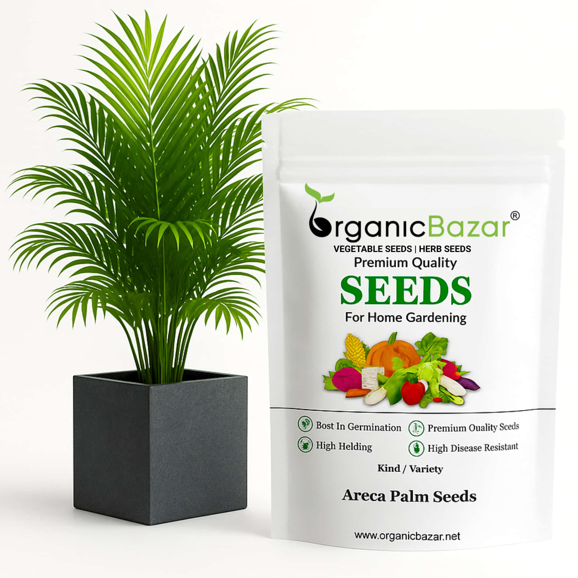 Areca Palm Seeds - एरिका पाम के बीज (50 Seeds)