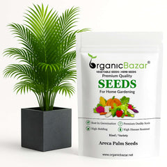 Areca Palm Seeds - एरिका पाम के बीज (50 Seeds)