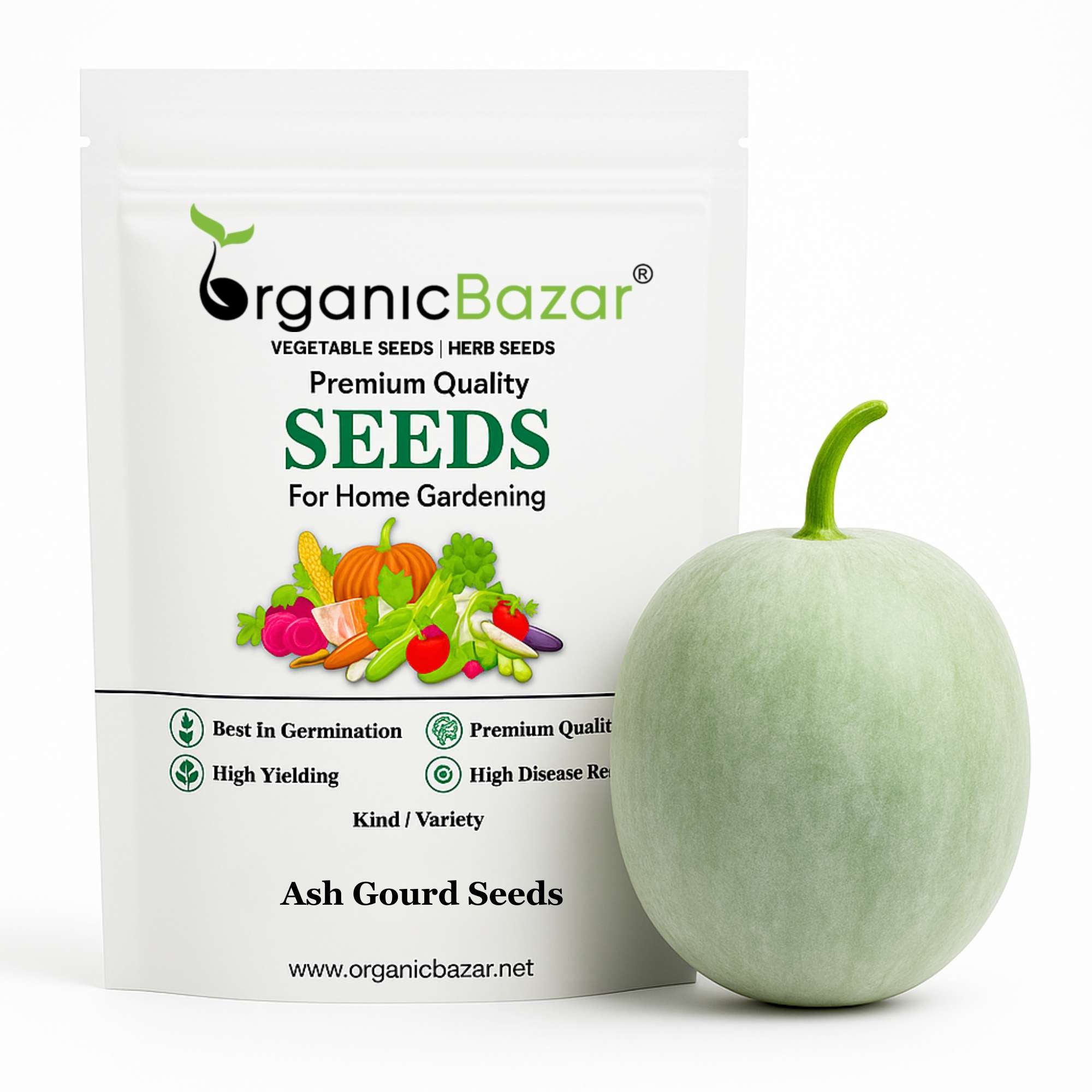 Ash Gourd Seeds - 12 Seeds (Petha /पेठा के बीज) Easy To grow, High Germination, High Yield Ash Gourd Seeds for Home Gardening