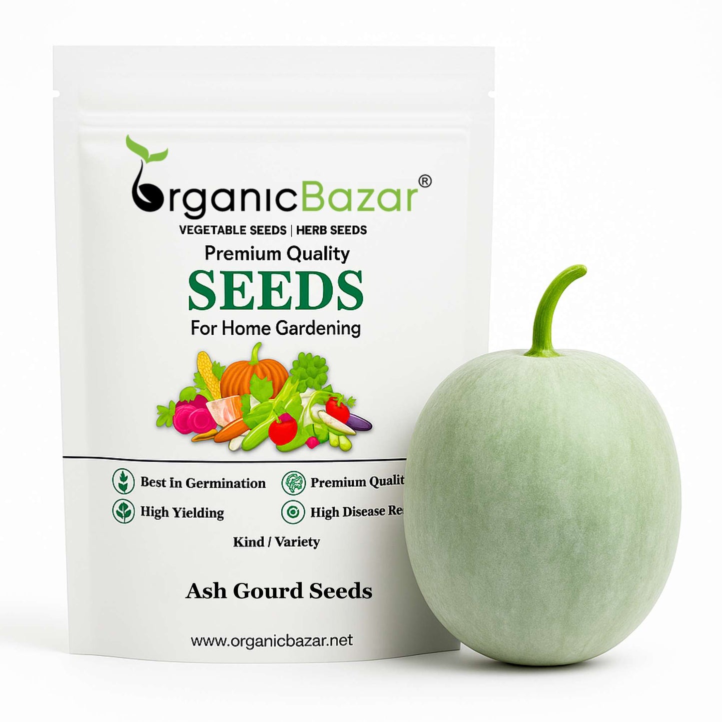 Ash Gourd Seeds - 12 Seeds (Petha /पेठा के बीज) Easy To grow, High Germination, High Yield Ash Gourd Seeds for Home Gardening