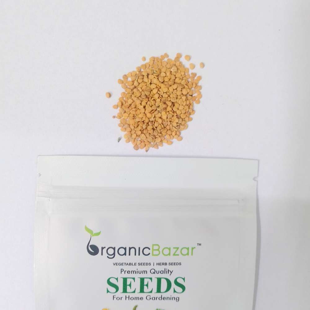 Ashwagandha Seeds - 500 Seeds (अश्वगंधा के बीज) High Germination Rate, Herbal Plant