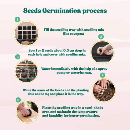 Balsam Bush Flower Mixed Seeds - (100 Seeds) (Gulmehndi/गुलमेहंदी के बीज) High Germination/ Easy to grow/Colorful Flower Seeds for Balcony & Terrace Garden