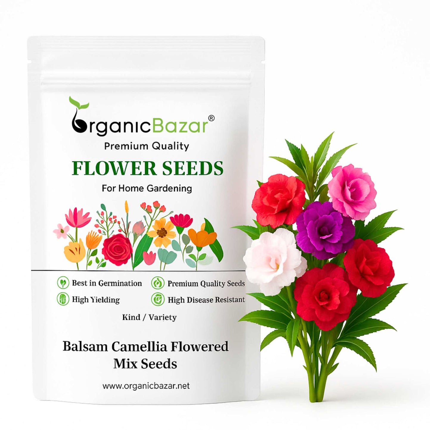 Balsam Camellia Flowered Mix Seeds - 100 Seeds (Gulmehndi/गुलमेहंदी के बीज) High Germination/ Easy to grow/Colorful Flower Seeds for Balcony & Terrace Garden