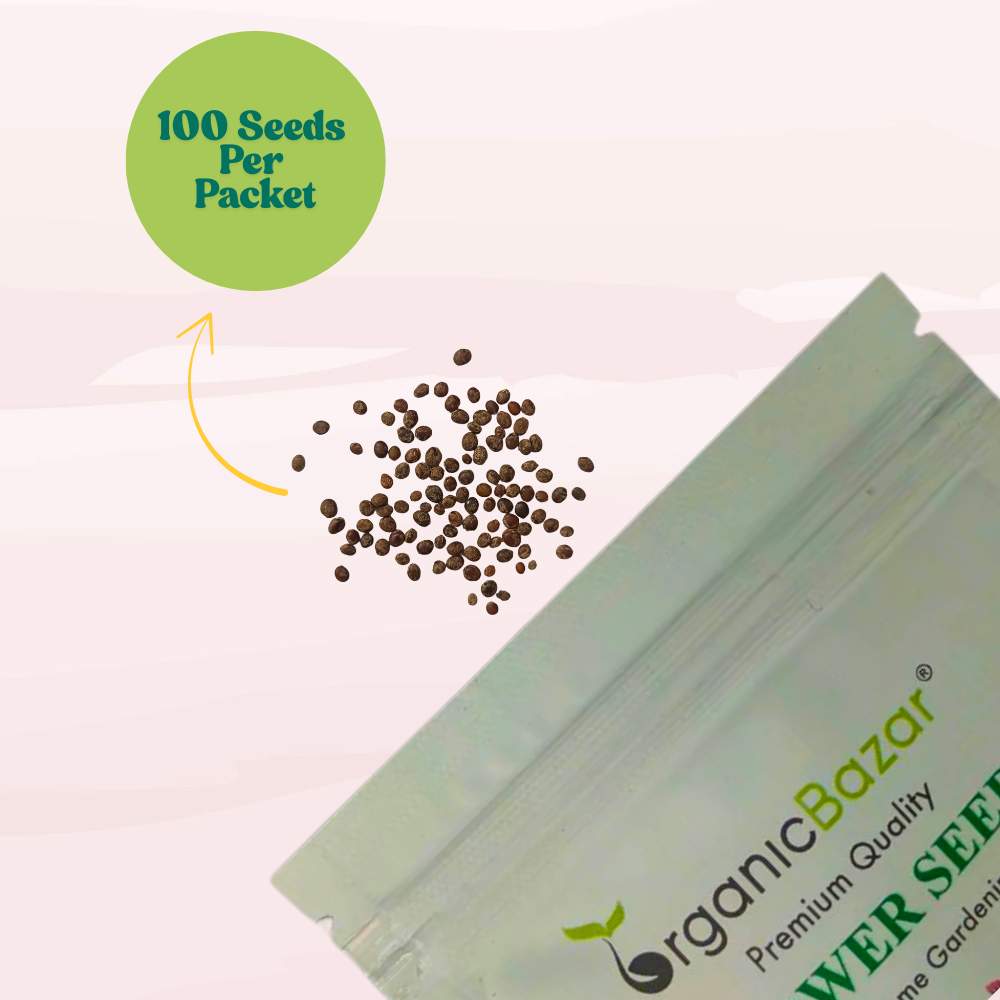 Balsam Camellia Flowered Mix Seeds - 100 Seeds (Gulmehndi/गुलमेहंदी के बीज) High Germination/ Easy to grow/Colorful Flower Seeds for Balcony & Terrace Garden