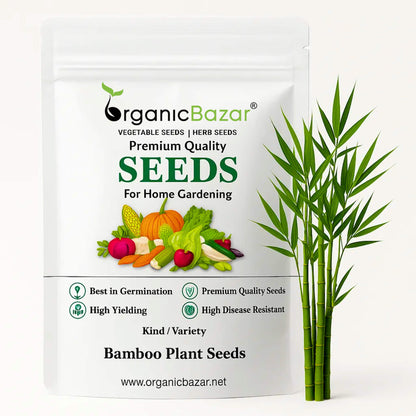 best time to plant bamboo seeds Buy The Best Quality Bamboo plant Seeds Online