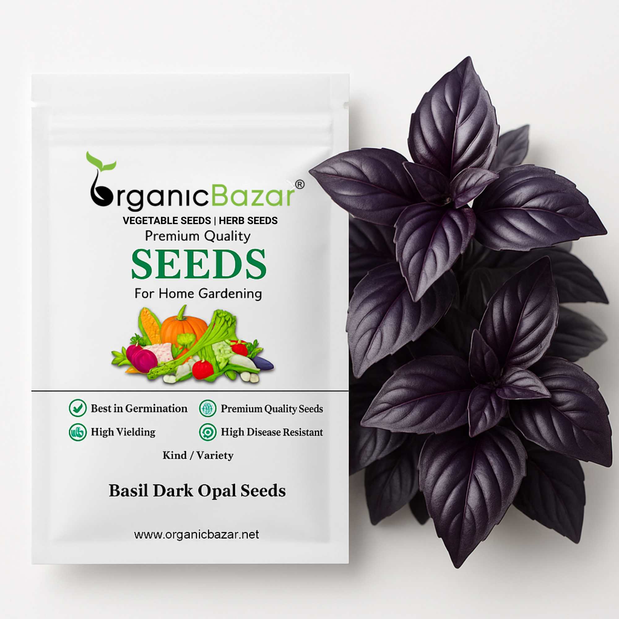 Basil Dark Opal Seeds - 200 Seeds (तुलसी के बीज) High Germination/Perfect for pots, balconies, or Terrace gardens