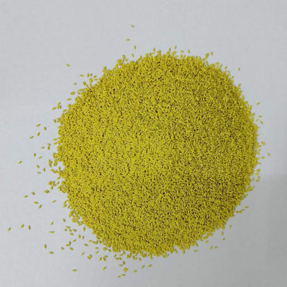 American Bermuda Grass Seeds For Lawn Garden (50g)