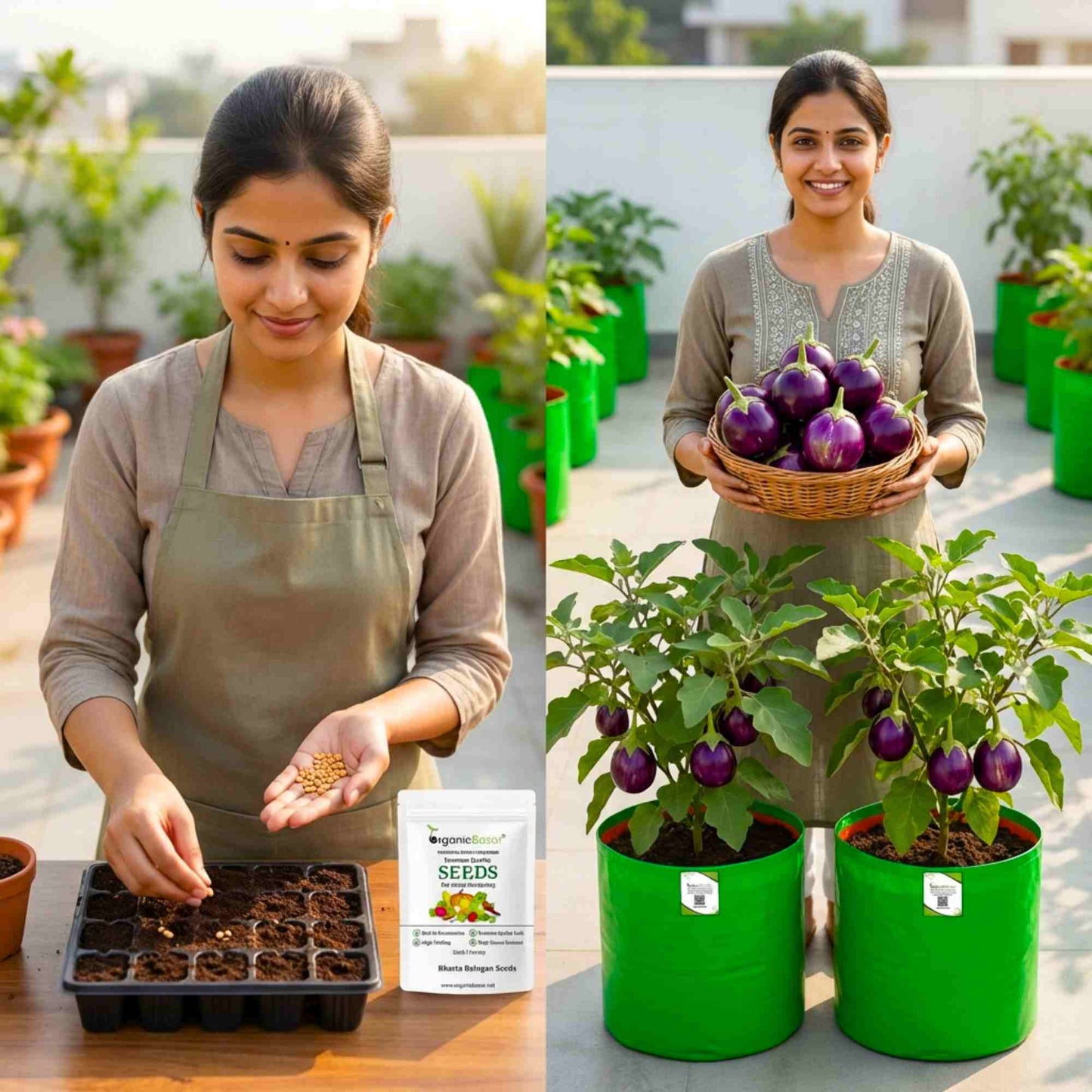 Bharta baingan Seeds - 50 Seeds) High Germination/ High Yield / Ideal for Terrace/Kitchen Gardening (Brinjal/Eggplant/बैंगन के बीज)