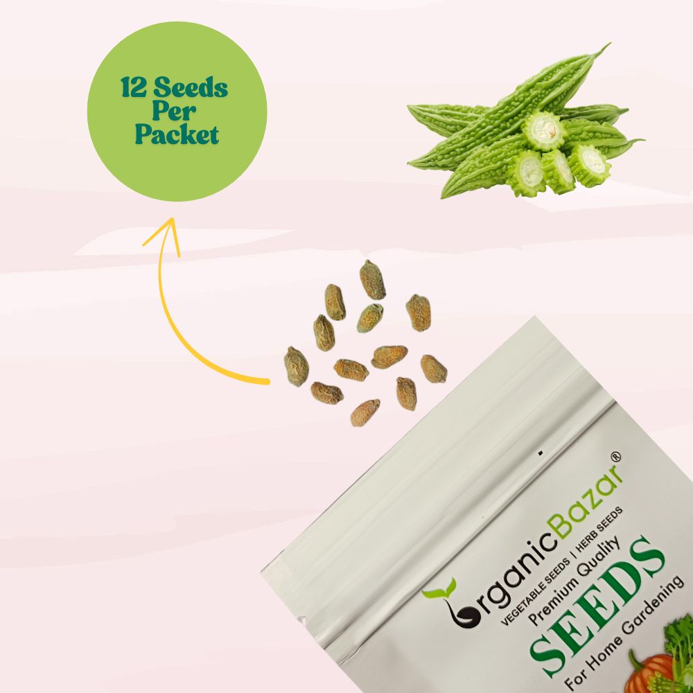 Bitter Gourd Jhalari Seeds - 12 Seeds (karela/करेला के बीज) Easy To grow, High Germination, High Yield Karela Seeds for Home Gardening