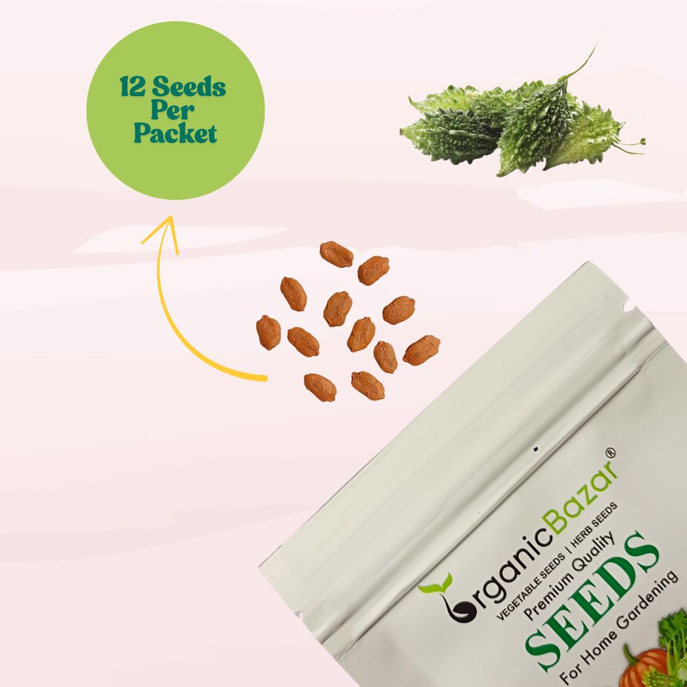 Bitter Gourd Small (Chhota Karela) Seeds - 12 Seeds (करेला के बीज) Easy To grow, High Germination, High Yield Karela Seeds for Home Gardening