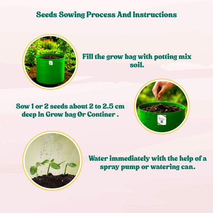 Bitter Gourd Small (Chhota Karela) Seeds - 12 Seeds (करेला के बीज) Easy To grow, High Germination, High Yield Karela Seeds for Home Gardening