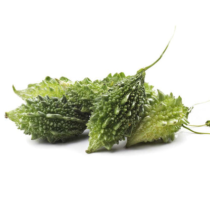 Bitter Gourd Small (Chhota Karela) Seeds - 12 Seeds (करेला के बीज) Easy To grow, High Germination, High Yield Karela Seeds for Home Gardening