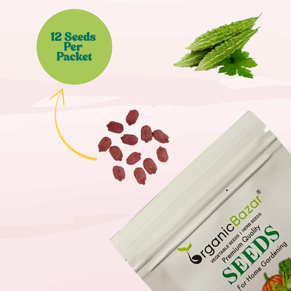 Bitter Gourd (Barahmasi) Seeds - 12 Seeds (karela/करेला के बीज) Easy To grow, High Germination, High Yield Karela Seeds for Home Gardening