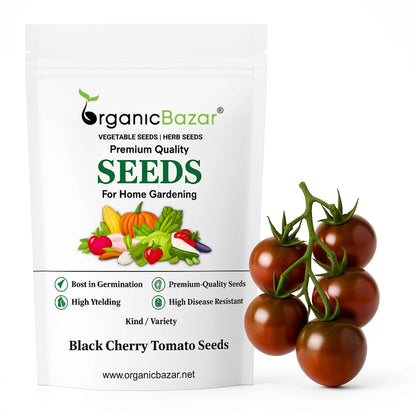 Black Cherry Tomato Seeds (30 Seeds) High Germination/ Easy to Grow/ Ideal for Terrace/Kitchen Gardening
