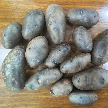 Black Potato Seeds For Kitchen/Terrace Gardening (900g)