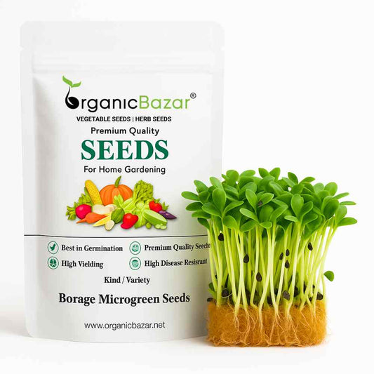 Borage Microgreen Seeds (10g)